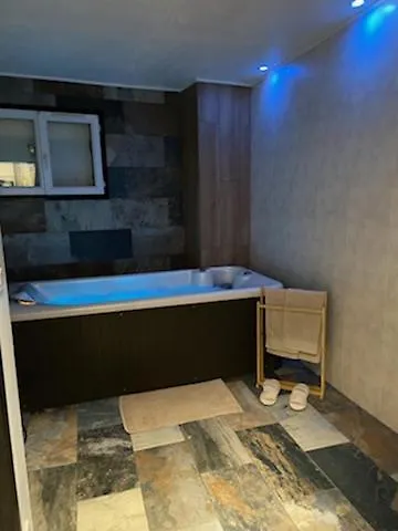 Appartement La Splenzia Spa Jacuzzi Wifi Clim Avignon 0*,